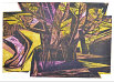 Bäume, Holzschnitt (?/3),  1964,  45x63 cm, (H-64-01)