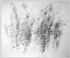 Zeichnung, Bleistift,  1987,  48x58 cm (Z-87-13)