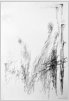 Zeichnung, Bleistift,  1989,  55x38 cm (Z-89-18)