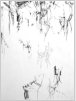 Zeichnung, Bleistift,  1995,  32x24 cm (Zg-95-03)