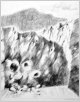 Felsenlandschaft auf Ischia, Bleistift,  1972,  54x44 cm (Z-72-02)