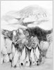Felsenlandschaft auf Ischia, Bleistift,  1972,  60x50 cm (Z-72-01)